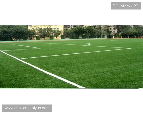 温布利球场草坪维护技术输出:英国足球基础设施的全球商业化